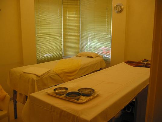 0005Clinic Istanbul3.jpg - Maharishi Ayur-Veda Health Centre in Istanbul, Turkey.